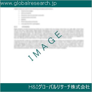 グローバルリサーチ調査資料のイメージ